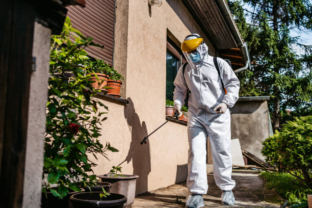 Best Flea Control Services  in East Whittier, CA