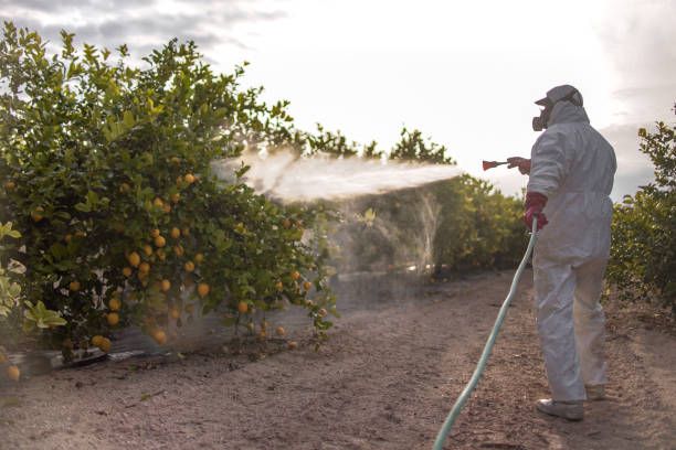  East Whittier, CA Pest Control Pros