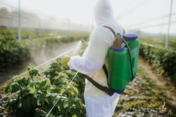 East Whittier, CA Pest Control Company